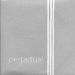 A gray background with the word "perpetual" in lowercase white letters at the bottom left. Two parallel vertical white lines run down the right side of the image.