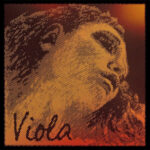 A stylized, diagonal-line illustration of a classical statue's face in warm tones, with the word "Viola" written in cursive in the bottom left corner.